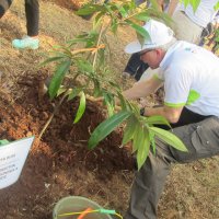 Mr Peter Buri_planting tree-at IDF 2015_ratu wina